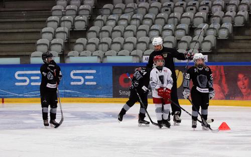 National Try-Out Denmark - SE Arena, Vojens