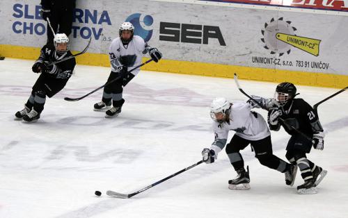 Game situations excersises - Chomutov